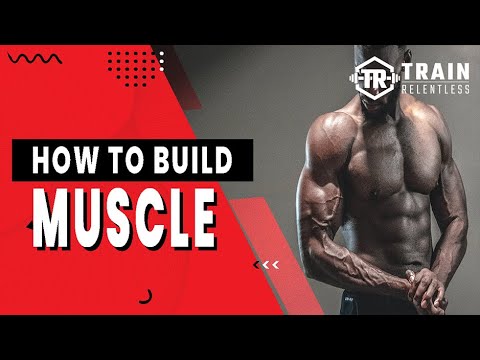 5 Training Tips To Build Muscle: Train Relentless